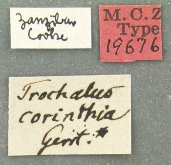 Media type: image;   Entomology 19676 Aspect: labels